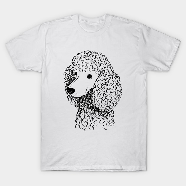 Poodle (Black and White) T-Shirt by illucalliart
